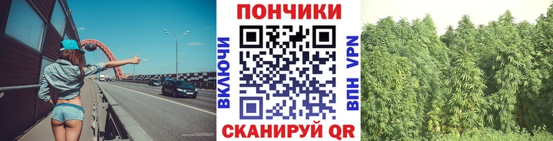Канабис гибрид  Билибино 